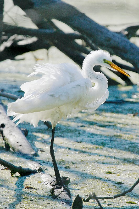  MG 8064 - Version 3 - Version 2